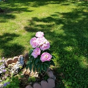 Meet your Posher, Trudy